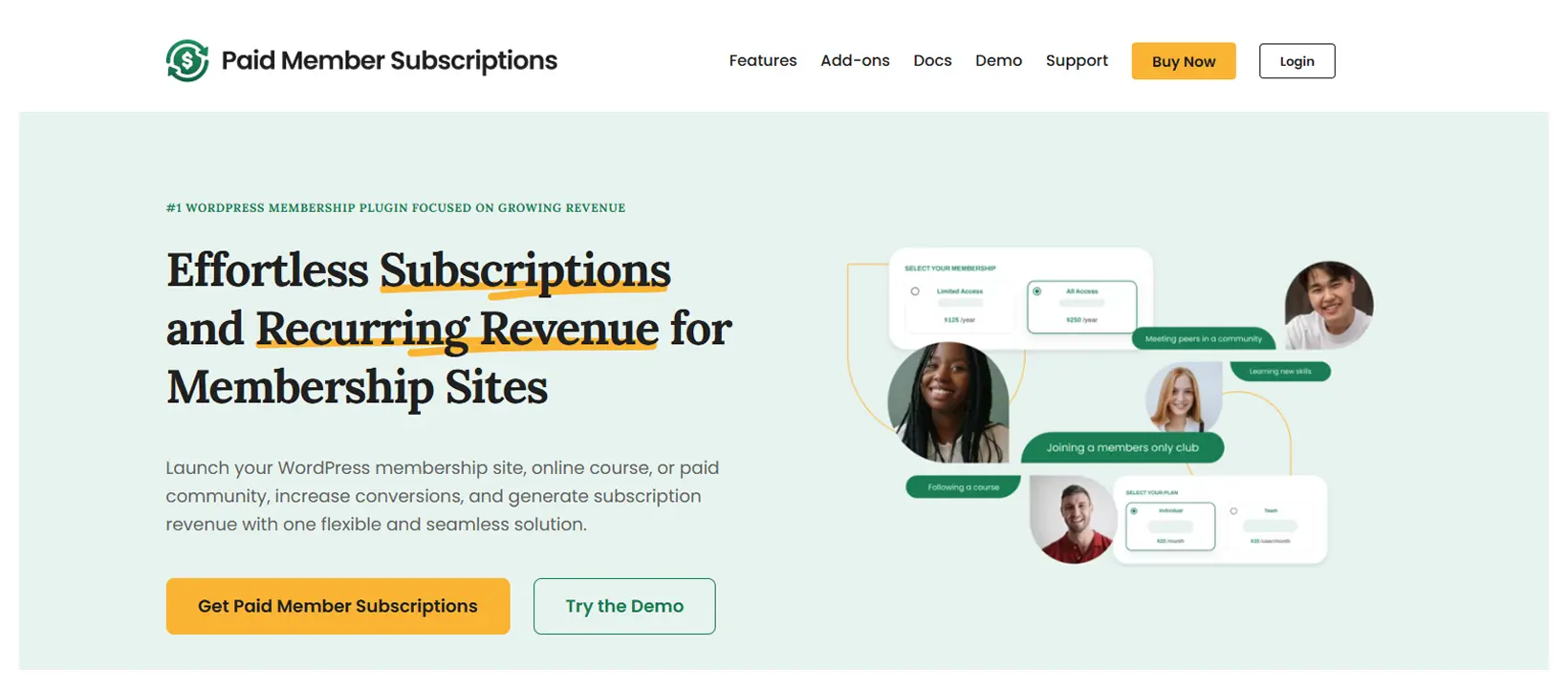 Paid Member Subscriptions Plugin Review